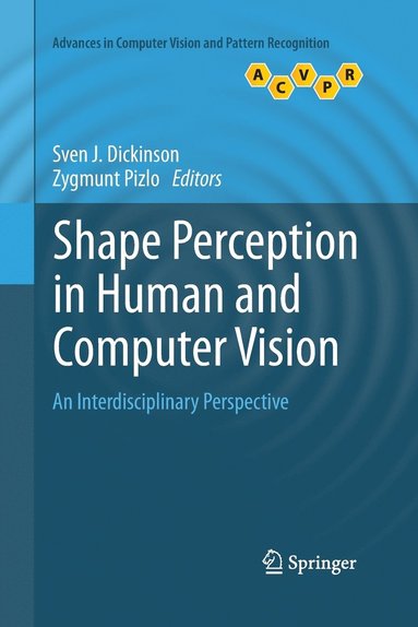 bokomslag Shape Perception in Human and Computer Vision