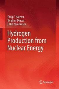 bokomslag Hydrogen Production from Nuclear Energy