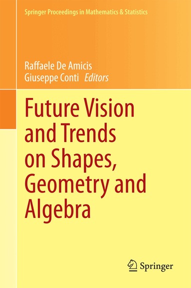 Raffaele de Amicis, Giuseppe Conti - Future Vision and Trends on Shapes, Geometry and Algebra, Inbunden