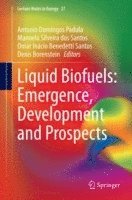 bokomslag Liquid Biofuels: Emergence, Development and Prospects