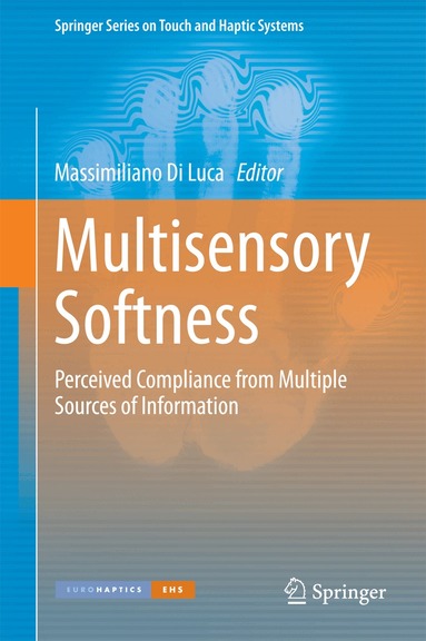Massimiliano Di Luca - Multisensory Softness, Inbunden
