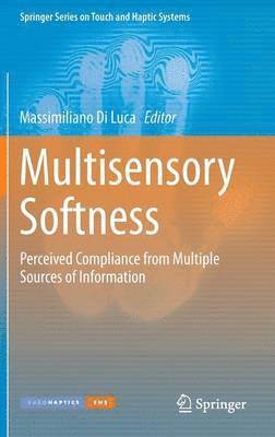 Multisensory Softness 1