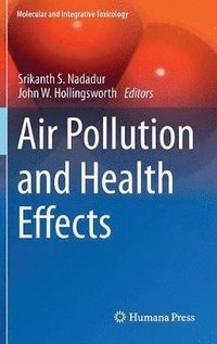 bokomslag Air Pollution and Health Effects