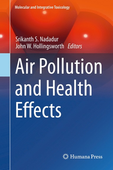 bokomslag Air Pollution and Health Effects