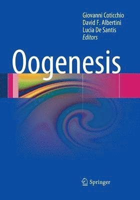 Oogenesis 1