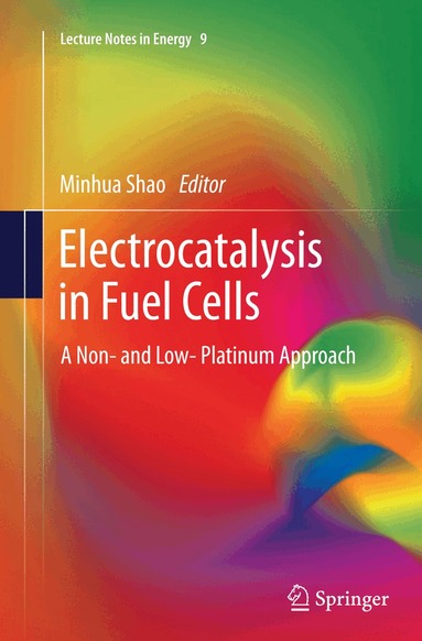 Minhua Shao - Electrocatalysis in Fuel Cells, Häftad