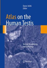 bokomslag Atlas on the Human Testis