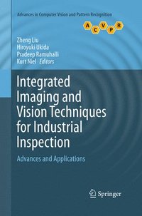 bokomslag Integrated Imaging and Vision Techniques for Industrial Inspection