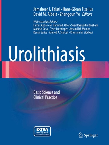 Jamsheer J. Talati, Hans-Goran Tiselius, David M. Albala, ZHANGQUN YE - Urolithiasis, Häftad