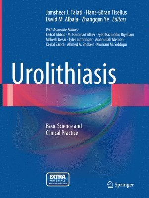 bokomslag Urolithiasis