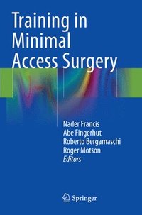 bokomslag Training in Minimal Access Surgery