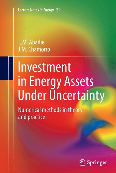 bokomslag Investment in Energy Assets Under Uncertainty