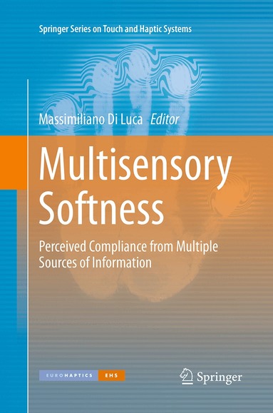Massimiliano Di Luca - Multisensory Softness, Häftad