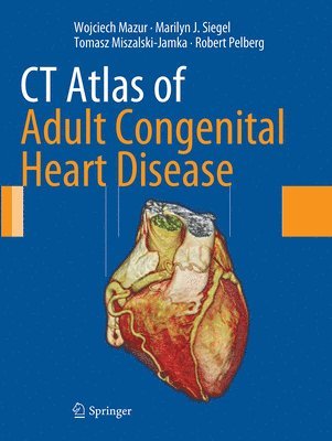 Wojciech Mazur, Marilyn J. Siegel, Tomasz Miszalski-Jamka, Robert Pelberg - CT Atlas of Adult Congenital Heart Disease, Häftad