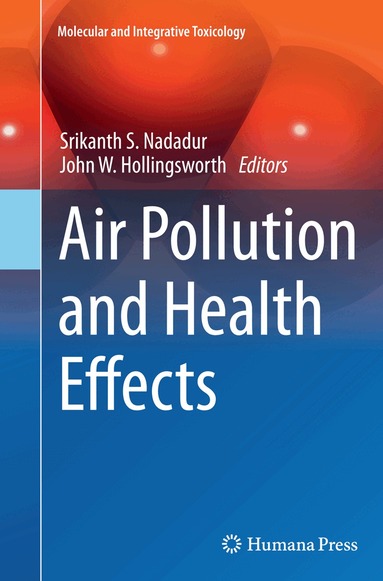 Srikanth S. Nadadur, John W. Hollingsworth - Air Pollution and Health Effects, Häftad