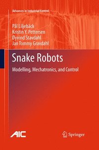 bokomslag Snake Robots