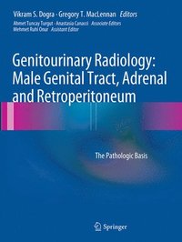 bokomslag Genitourinary Radiology: Male Genital Tract, Adrenal and Retroperitoneum