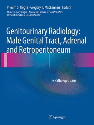 bokomslag Genitourinary Radiology: Male Genital Tract, Adrenal and Retroperitoneum