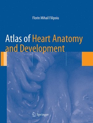 Florin Mihail Filipoiu - Atlas of Heart Anatomy and Development, Häftad