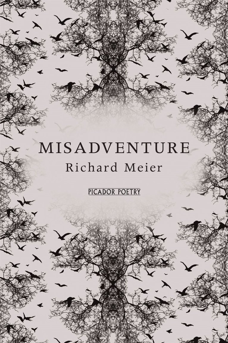 Richard Meier - Misadventure, Häftad