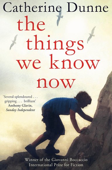 Catherine Dunne - Things We Know Now, Häftad