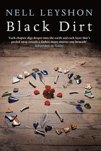 bokomslag Black Dirt