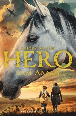 bokomslag A Horse Called Hero