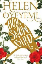 bokomslag Boy, Snow, Bird