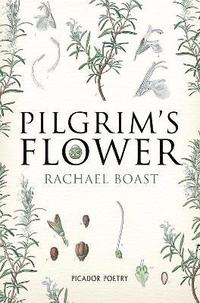 bokomslag Pilgrim's Flower