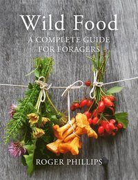 bokomslag Wild Food