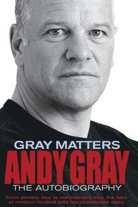 bokomslag Gray Matters