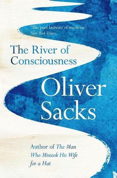 bokomslag The River of Consciousness