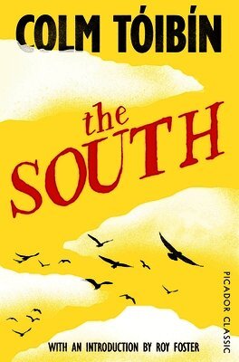 Colm Tóibín - The South, Häftad