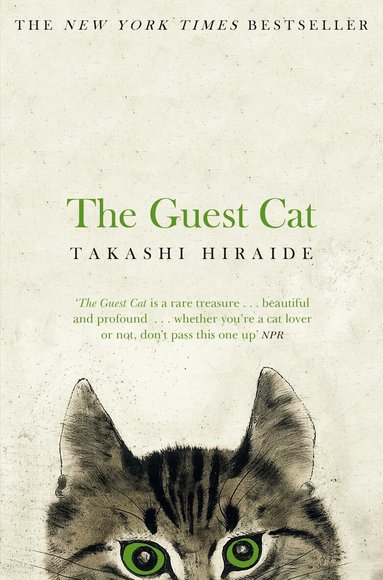 Takashi Hiraide - Guest Cat, Häftad