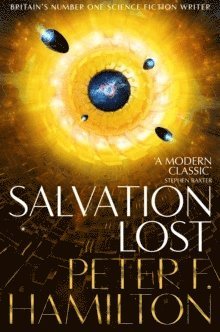 bokomslag Salvation Lost