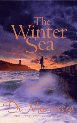 bokomslag Winter Sea