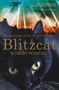 bokomslag Blitzcat