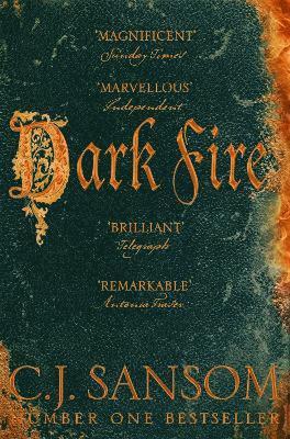 bokomslag Dark Fire