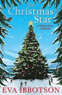 bokomslag The Christmas Star