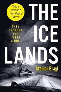 bokomslag The Ice Lands