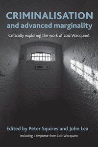 bokomslag Criminalisation and Advanced Marginality
