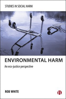 bokomslag Environmental Harm