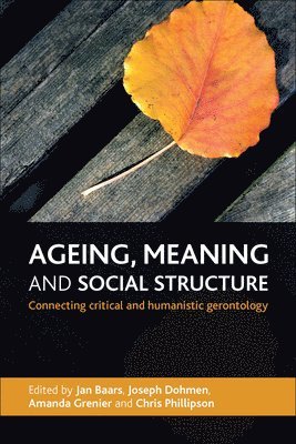 bokomslag Ageing, Meaning and Social Structure