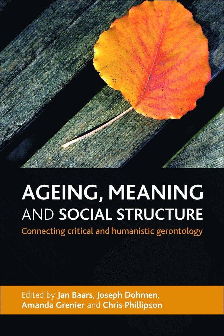 Jan Baars, Joseph Dohmen, Amanda Grenier, Chris Phillipson - Ageing, Meaning and Social Structure, Häftad