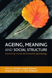 bokomslag Ageing, Meaning and Social Structure