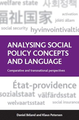 bokomslag Analysing Social Policy Concepts and Language