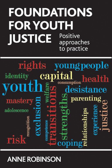 bokomslag Foundations for Youth Justice