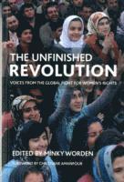 bokomslag Unfinished Revolution