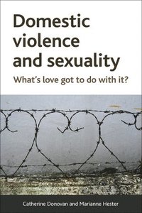 bokomslag Domestic Violence and Sexuality