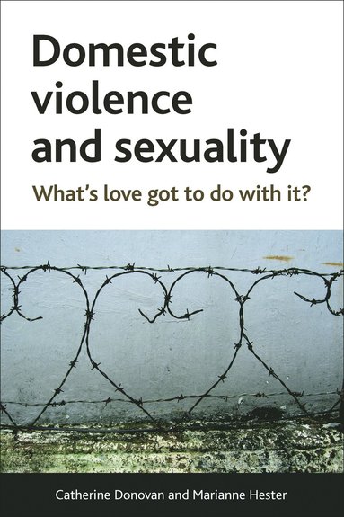 bokomslag Domestic Violence and Sexuality